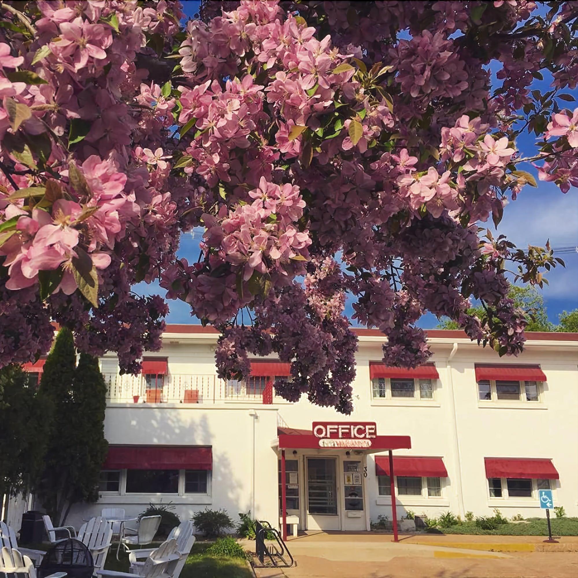 Vista Exterior Holiday Music Motel