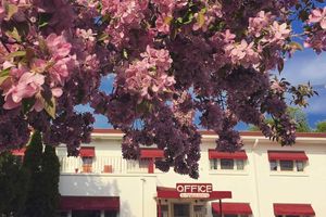 Alojamiento - Holiday Music Motel