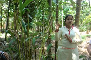 Actividad - Granja de Especias Sahakari - Tour Privado