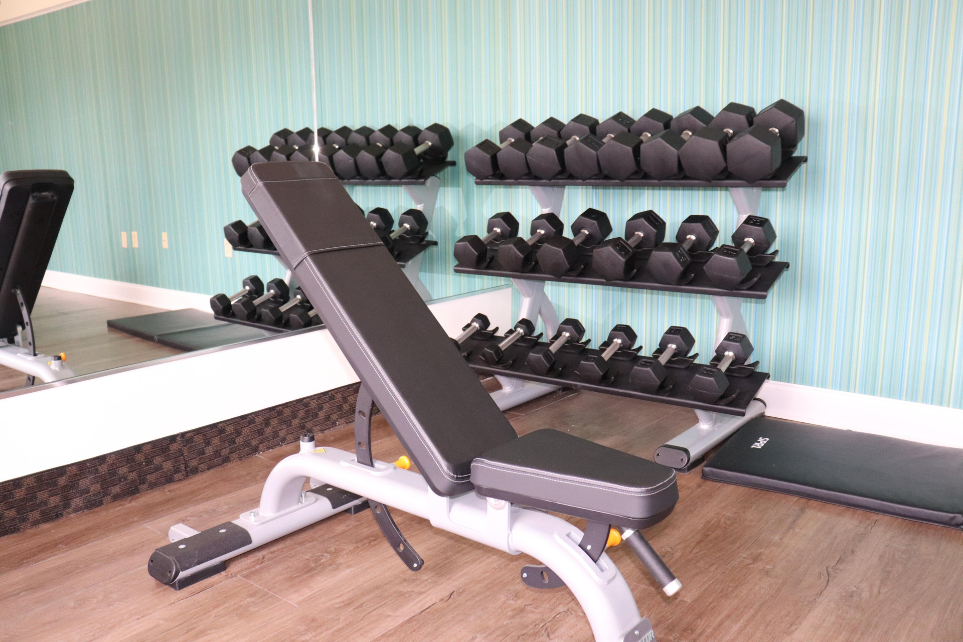 Instalaciones Recreativas Holiday Inn Express Hotel & Suites Clearwater/Us 19 N by IHG