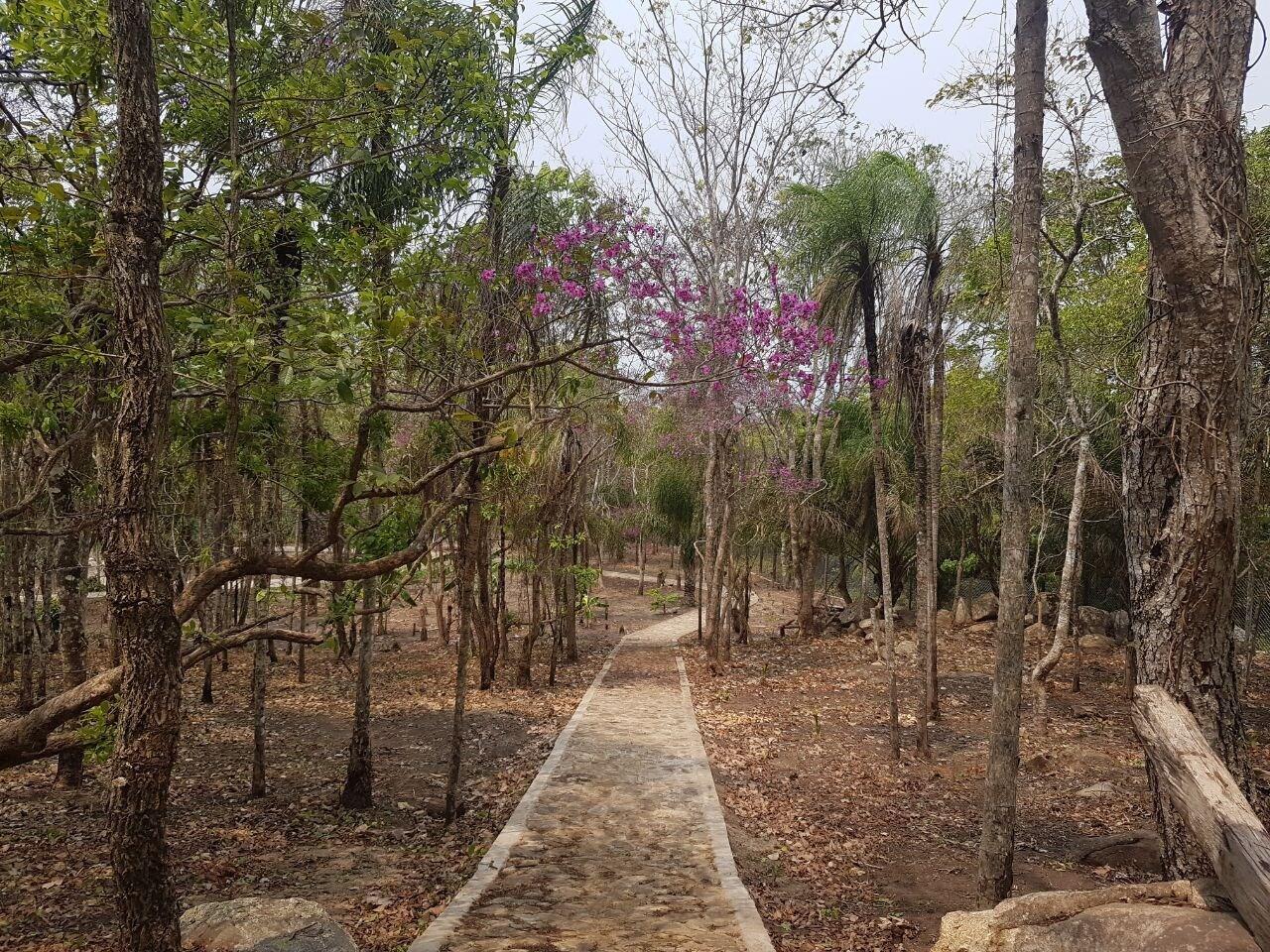 Equipamiento de Habitación San Xavier Quinta Eco Resort