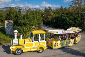 Actividad - Recorrido vinícola por el valle de Konavle desde Dubrovnik con viaje en tren y cata de vinos