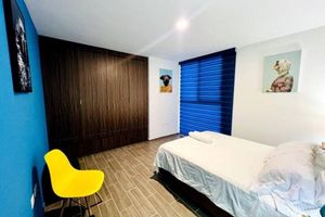 Alquiler Vacacional - Pet-friendly shelter in the historic center/exhibition center