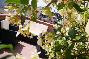 Alquiler Vacacional - Exclusive penthouse in the city center - Elafi Penthouse CIN IT092009C2000P0056