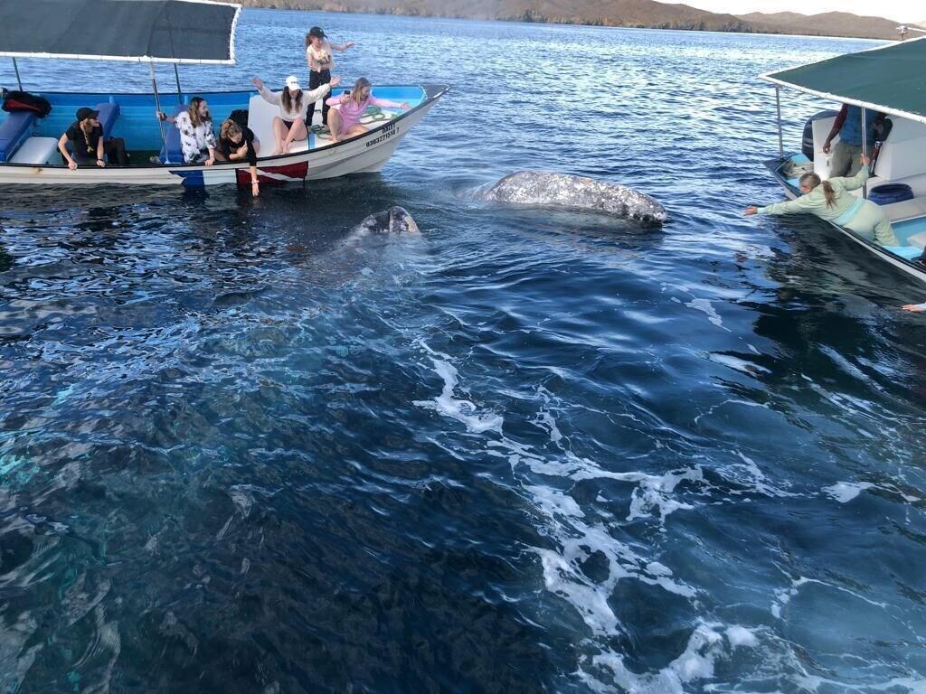 Vista Lobby Hotel Alcatraz