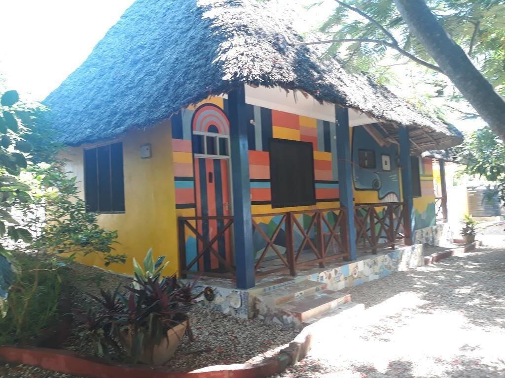 Varios Coccobello Zanzibar