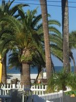 Alquiler Vacacional - PRIVATE COTTAGE  OCEAN VIEW 44 PACES TO BEACH, CLOSE TO RESTAURANTS AND SHOPS