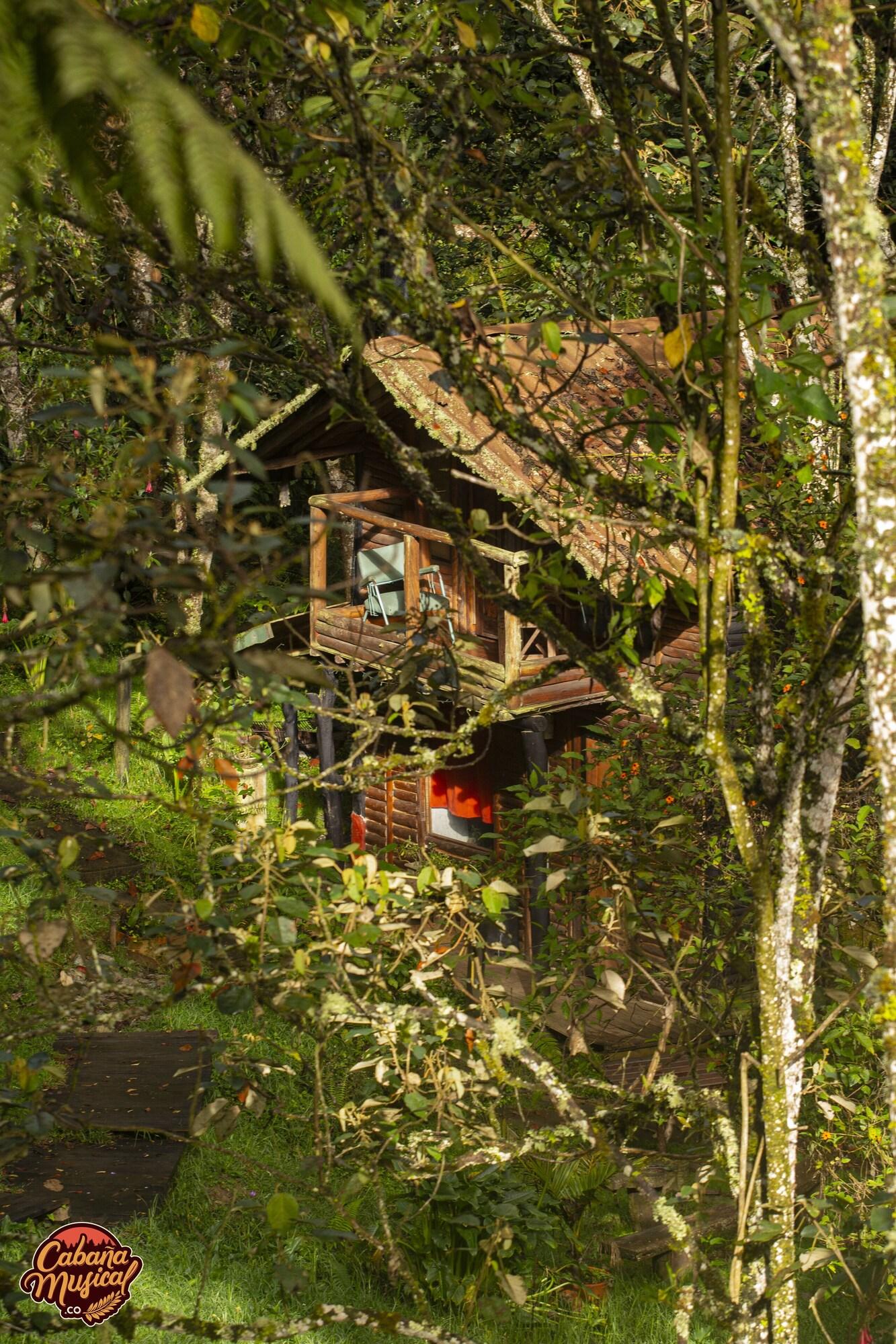 Vista Exterior La Cabaña Musical