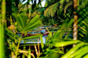Alojamiento - Anantara Hua Hin Resort