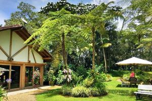 Alquiler Vacacional - House near JMC Airport in Medellín
