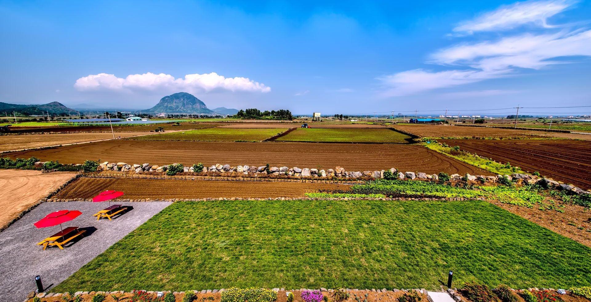 Vista Exterior Boreum Pension