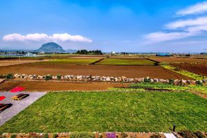 Alojamiento - Boreum Pension