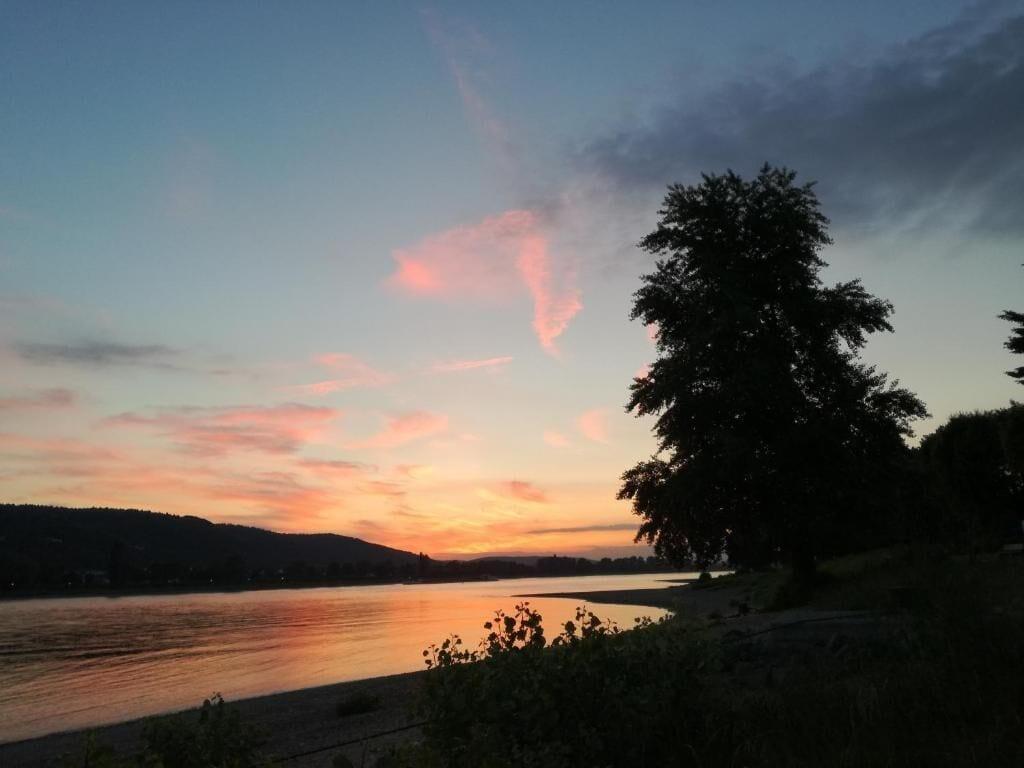 Playa Pension Carmen