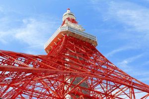 Actividad - Entrada al Observatorio de la Torre de Tokio