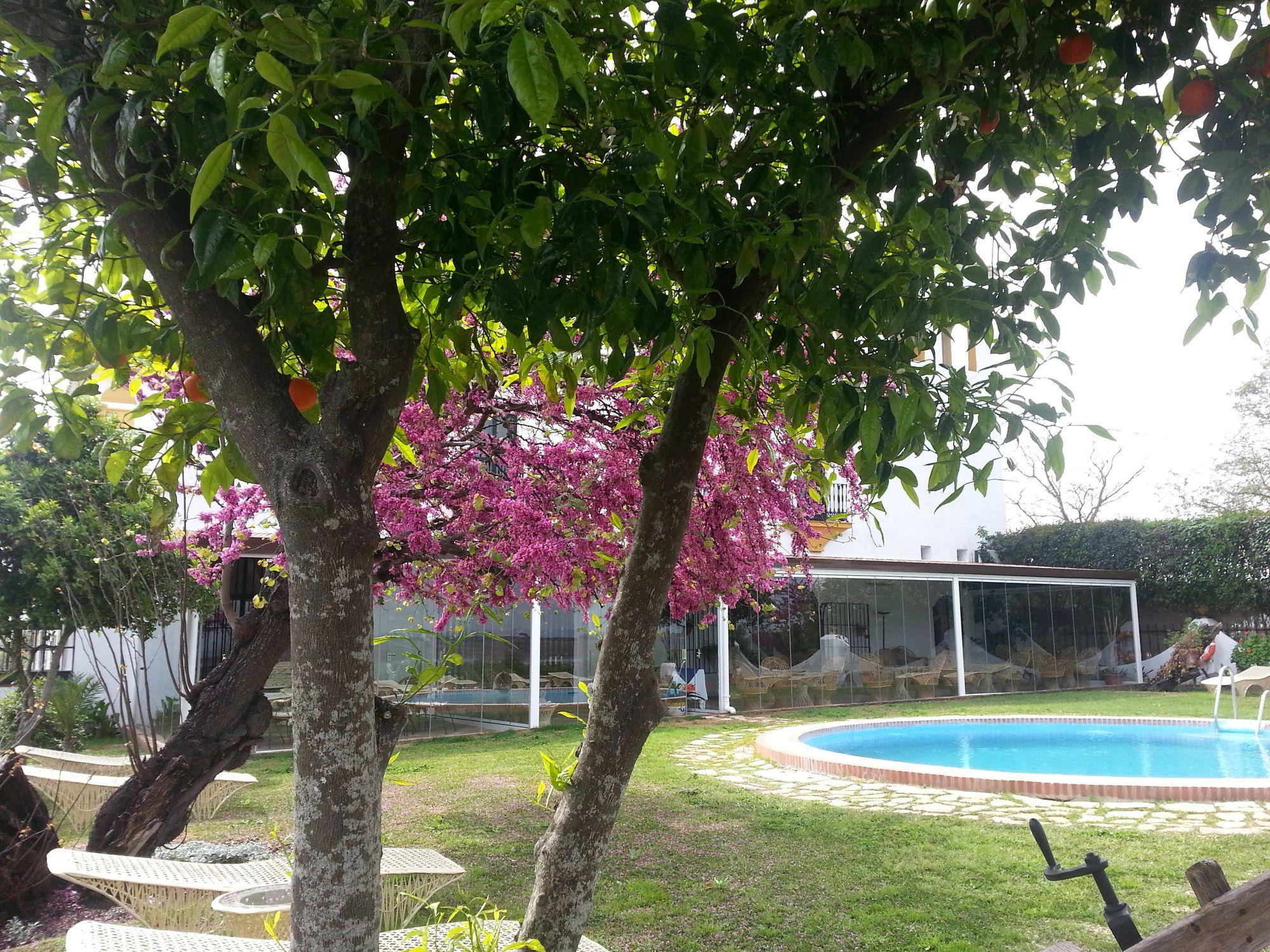 Vista Piscina Hacienda El Santiscal - Adults Only