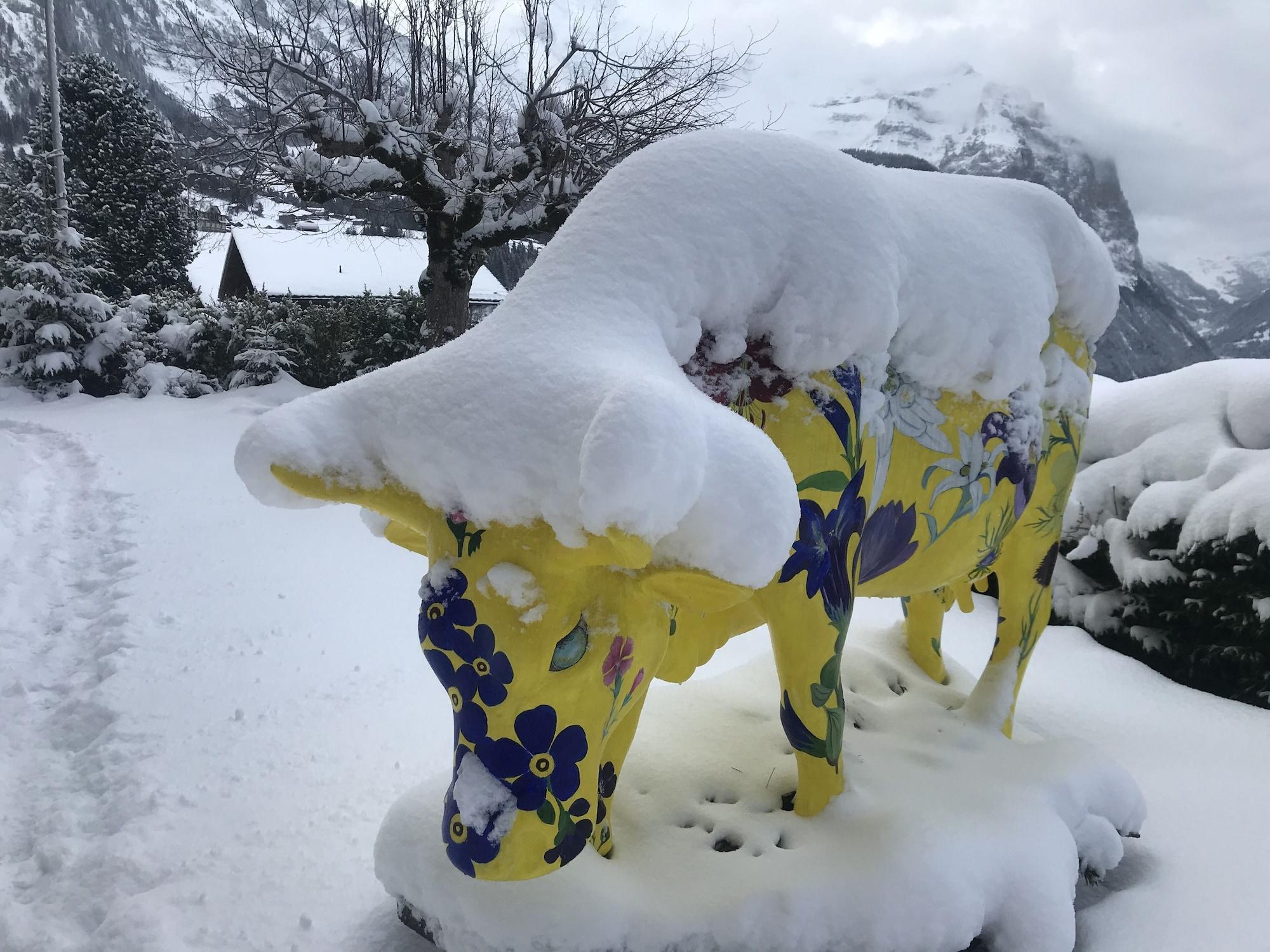 Vista Exterior Hotel Bellevue - Traditional Swiss Hideaway