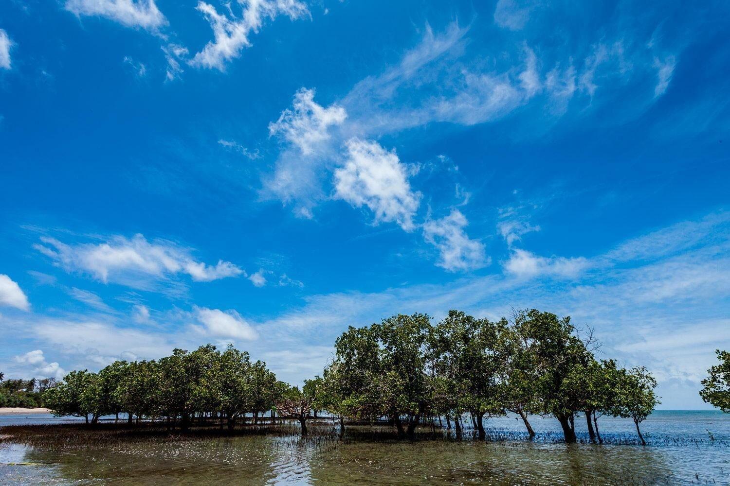 Varios Capricorn Beach Cottages