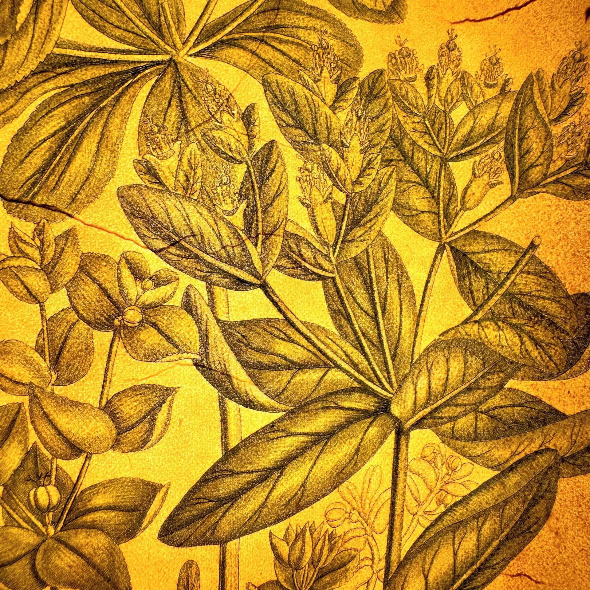 Comodidades del Alojamiento Hotel Cestelli