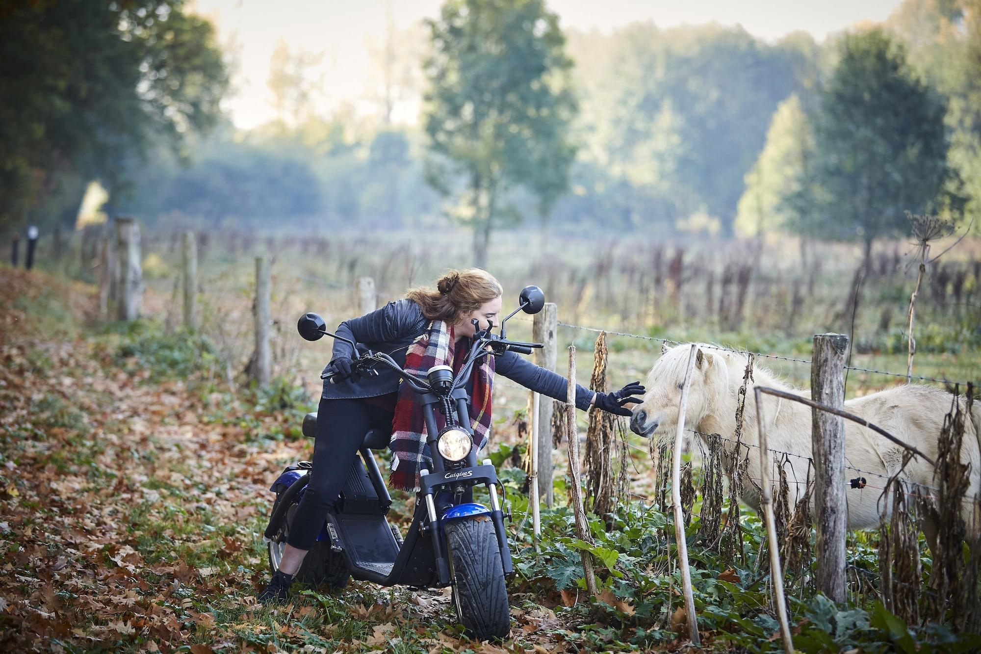 Instalaciones Recreativas Maashof