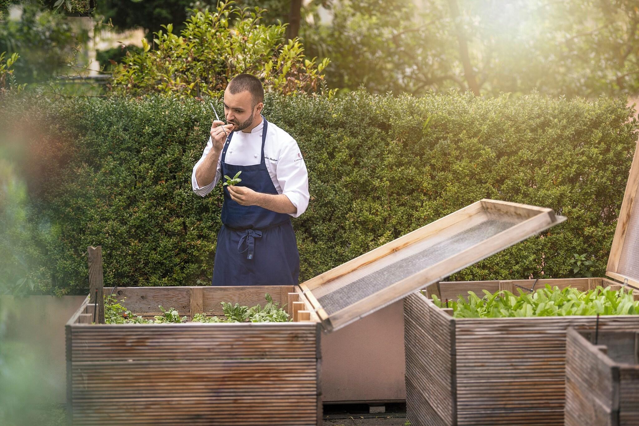 Varios LUGANODANTE Boutique & Lifestyle Hotel