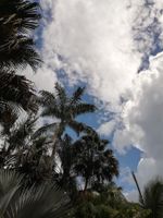 Alojamiento - Omega Tours Adventure Company & Eco Jungle Lodge