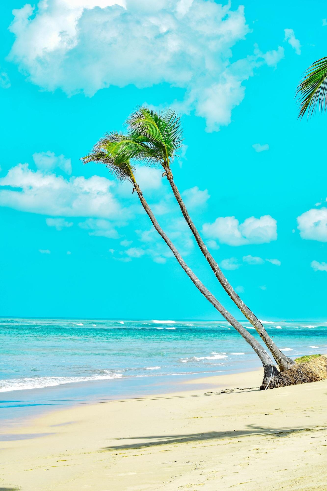 Playa Playa Palmera Beach Resort