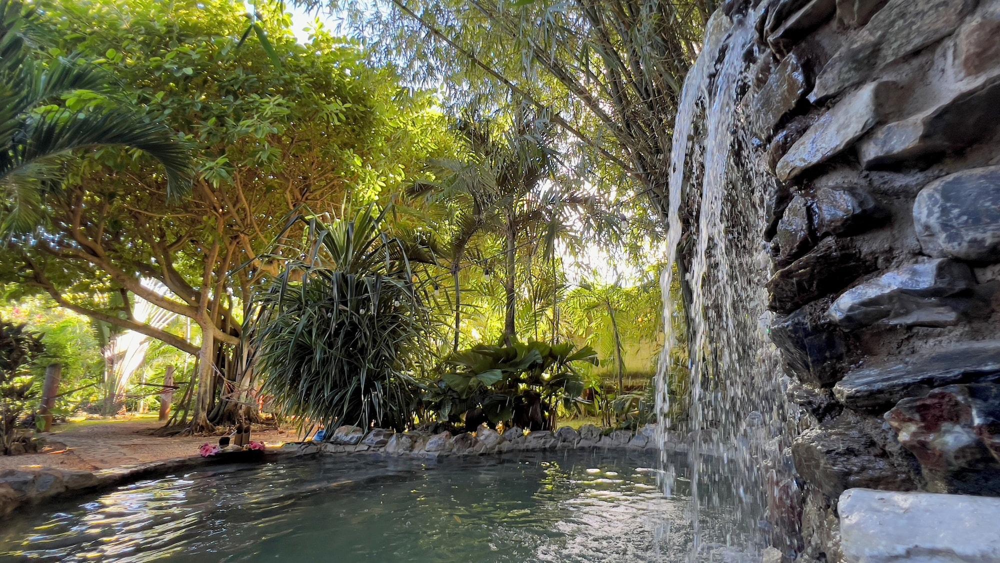 Vista Piscina CHALET TROPICAL Hotel & Pool Bar Restaurant