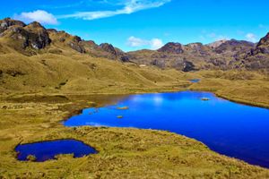Actividad - Tour Parque Nacional Cajas Medio Día