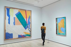 Actividad - MoMA - Museo de Arte Moderno de Nueva York - Entrada