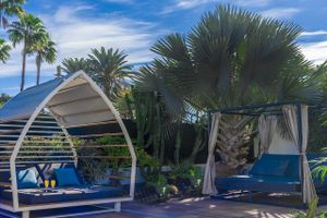 Alojamiento - Axel Beach Maspalomas - Adults Only