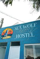 Alojamiento - Sea Wolf Surf Hostel - Campeche