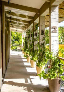 Hotel Makaabá Eco-boutique - Hoteles en Chetumal, México: todo incluido, baratos y ofertas