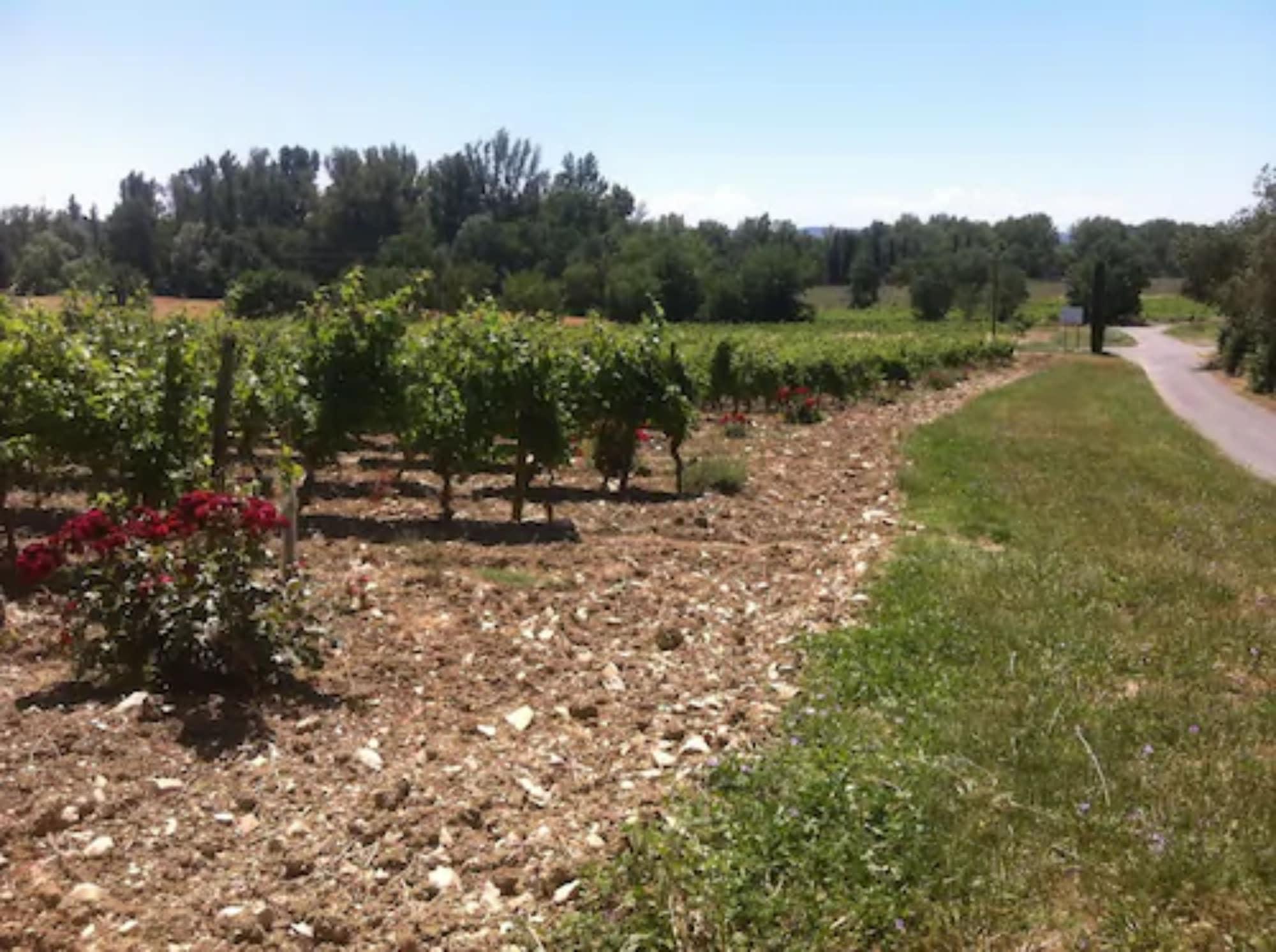 Varios Chez Mina chambres d'hôtes