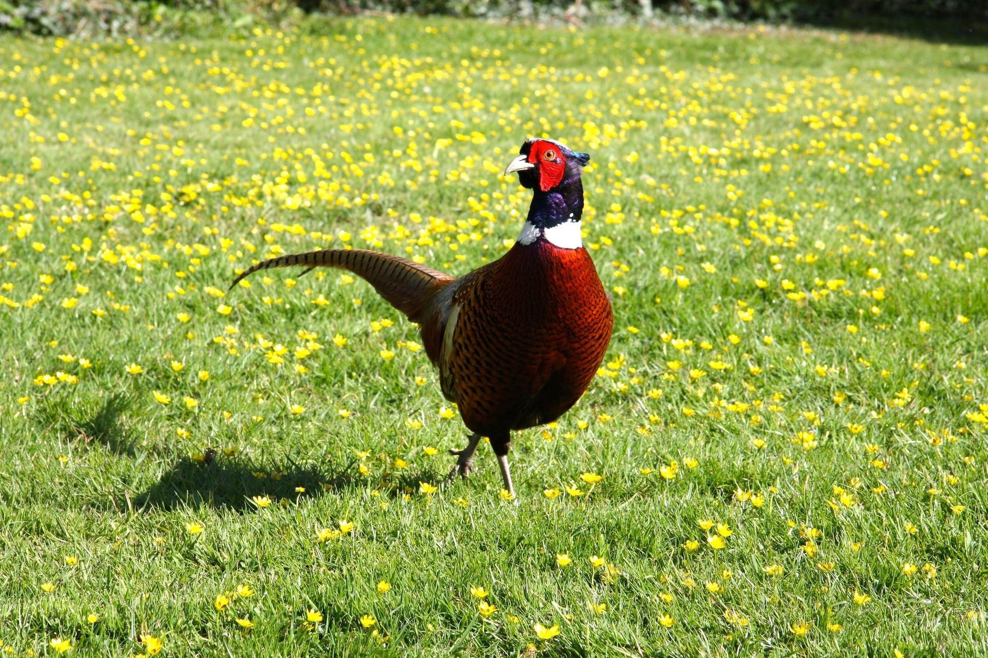 Vista Exterior White Lodge B&B