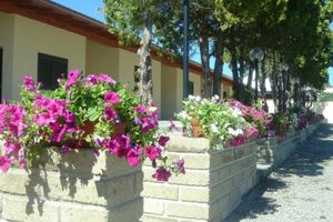 Alojamiento - Samarcanda