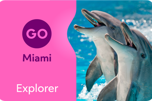 Actividad - Miami Go City Explorer Pass - El mejor pase de atracciones de Miami