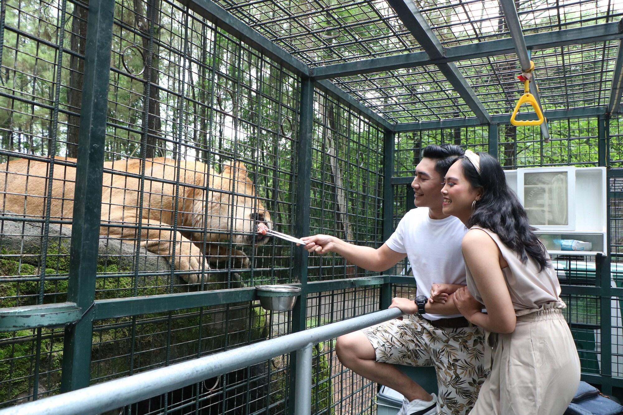 Vista Exterior Baobab Safari Resort