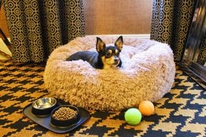 Alojamiento - Ameritania Hotel at Times Square