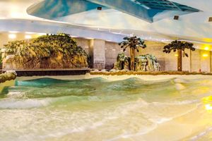 Actividad - Entrada al parque Acquamotion: agua, temática y cálida