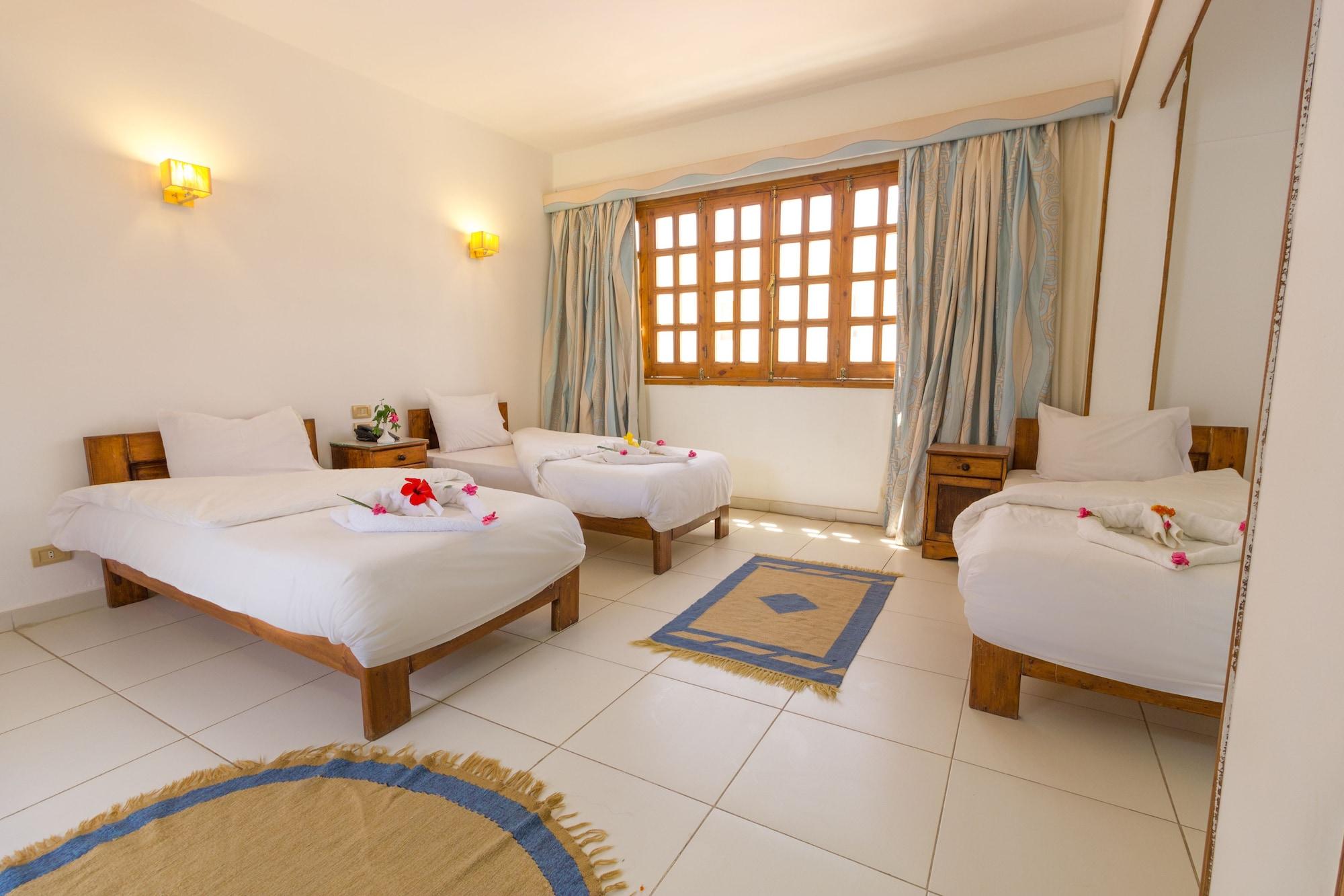 Habitación Acacia Dahab Hotel
