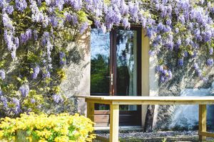 Alojamiento - Le Prielle