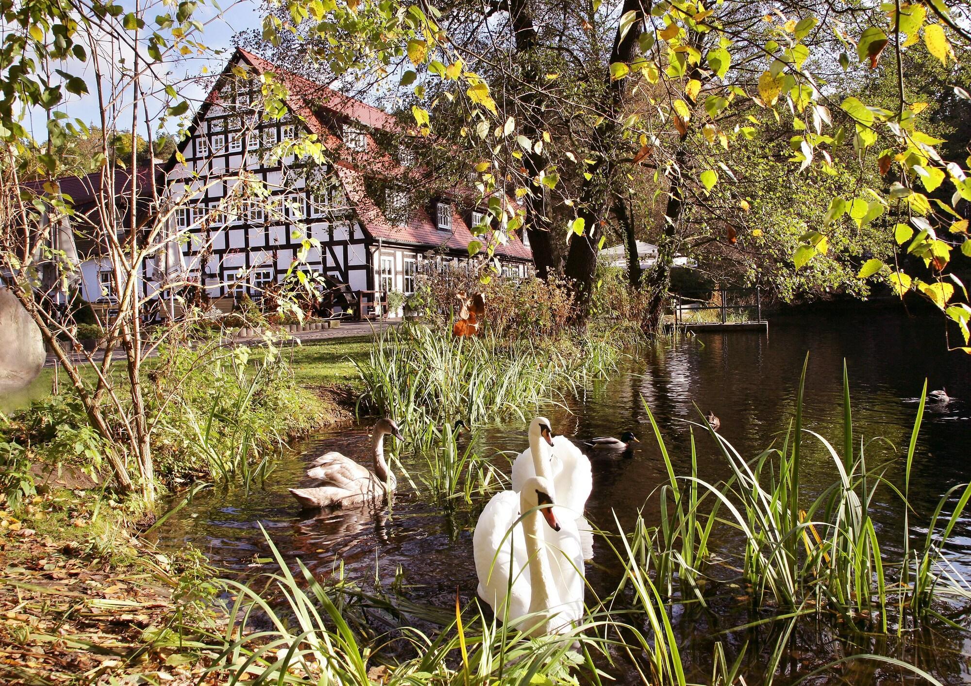 Vista Exterior Springbachmühle