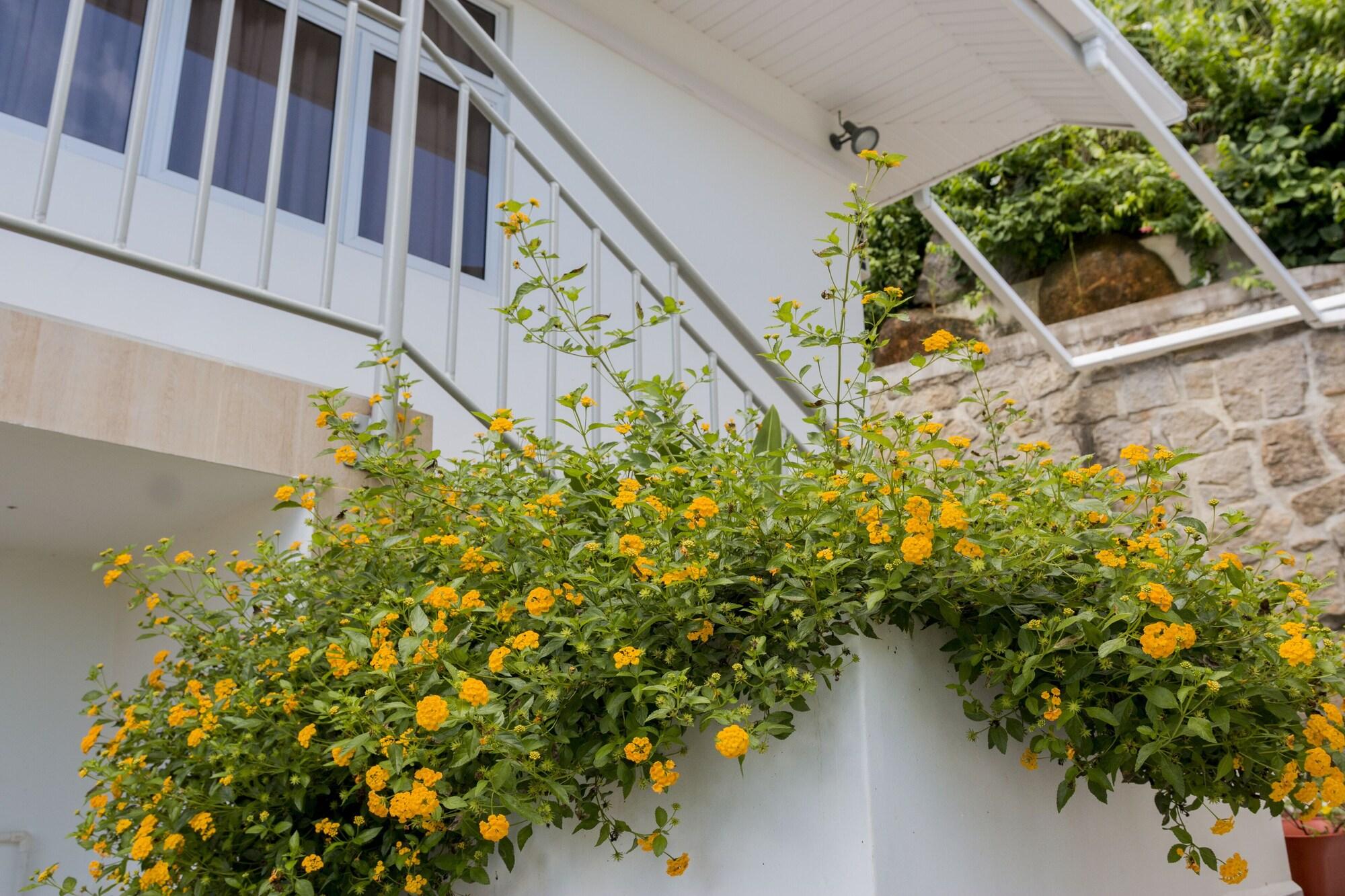 Vista Exterior Le Manglier Guest House