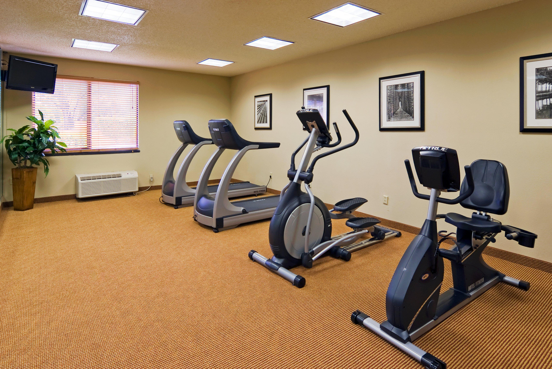 Instalaciones Recreativas Holiday Inn Express & Suites Kendall East Miami by IHG