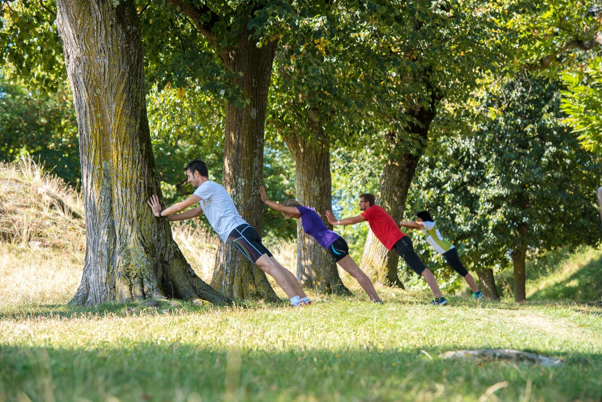 Gimnasio Waldrast - Forestside Living