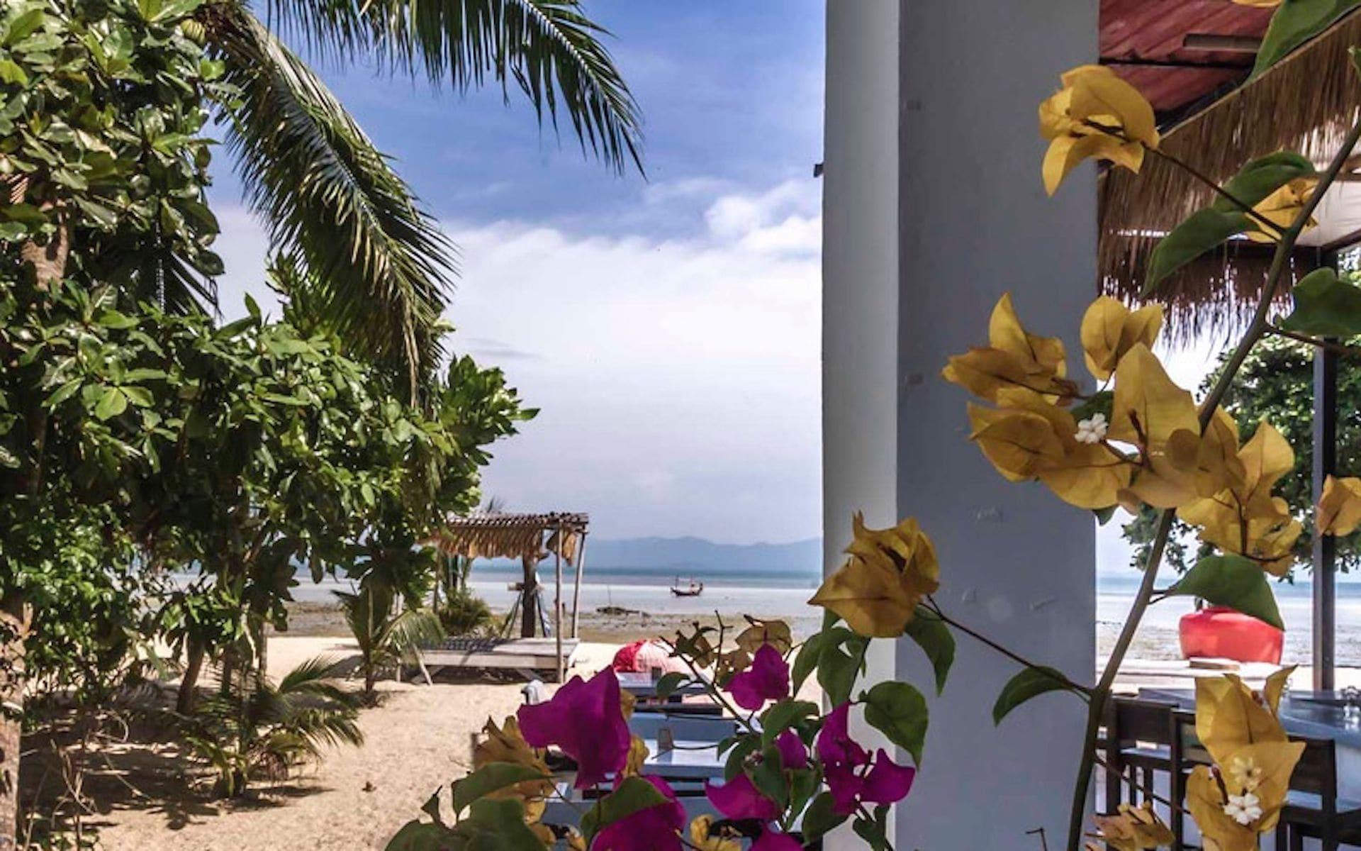 Vista Lobby Dancing Elephant Beach Club - Hostel