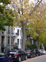Paquete - Gingerbread Manor