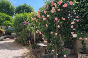 Alojamiento - Nice Garden Hôtel