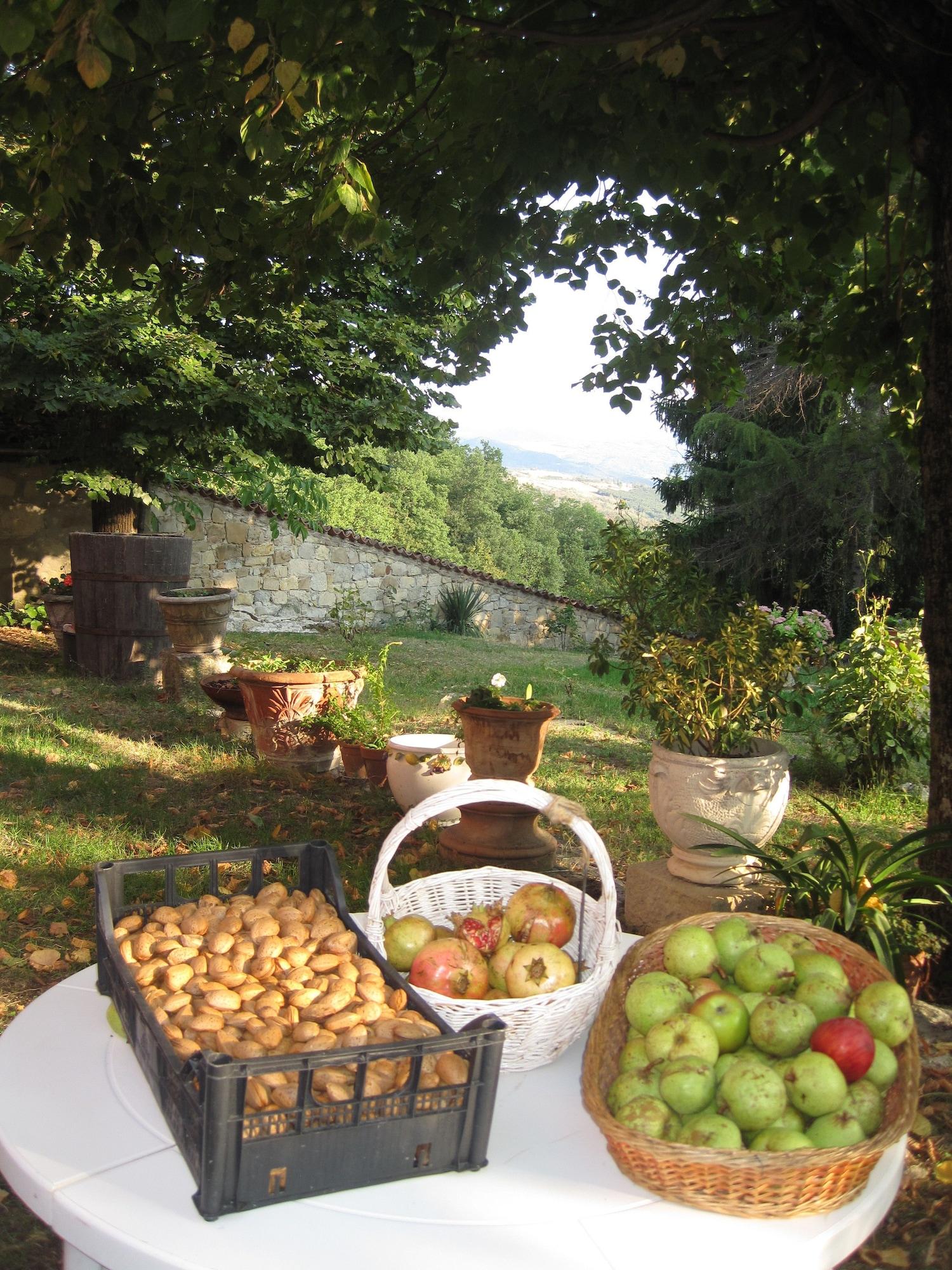 Restaurant Il Mio Rifugio