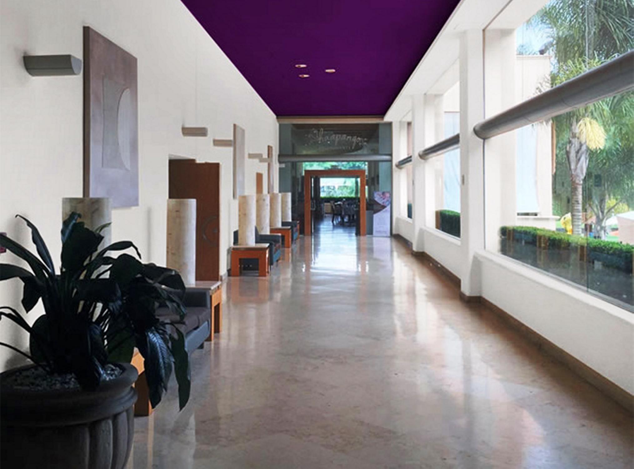 Vista Lobby Gamma Xalapa Nubara
